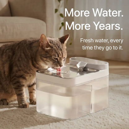 Halynsa Pet Hydration Station