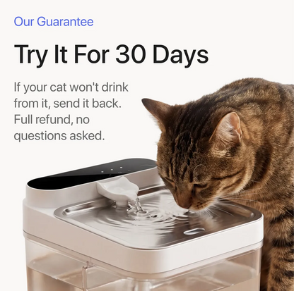 Halynsa Pet Hydration Station