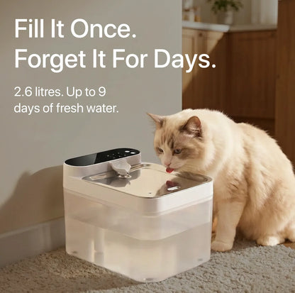 Halynsa Pet Hydration Station