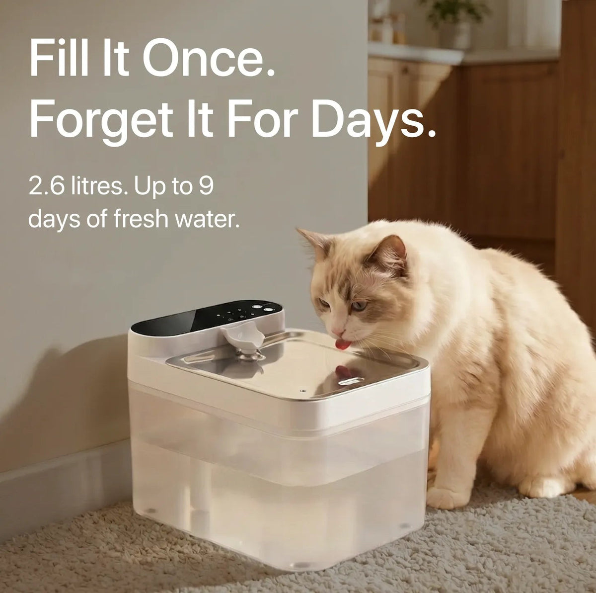 Halynsa Hygienic Cat Fountain